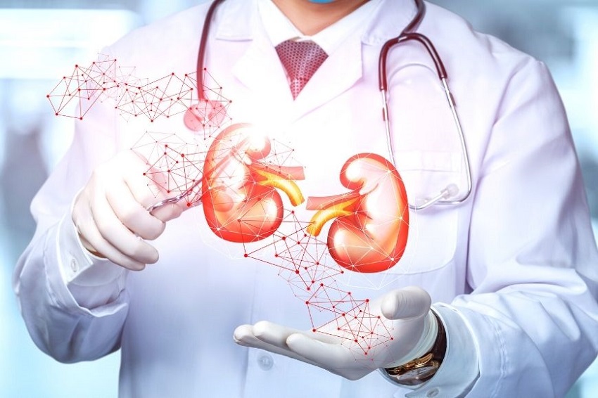 São Paulo accueille un événement international sur le cancer urologique