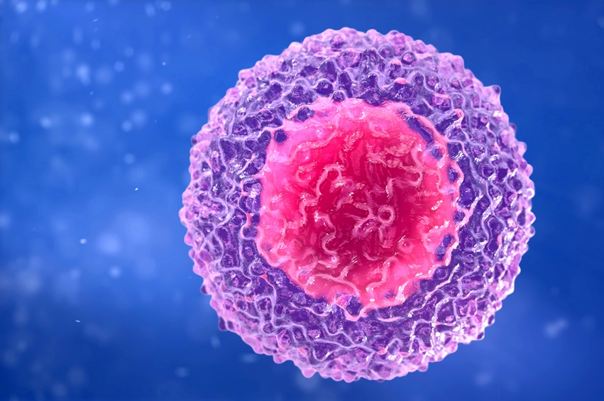 Einstein reçoit une autorisation sans précédent d'Anvisa et pourra traiter les cellules NK