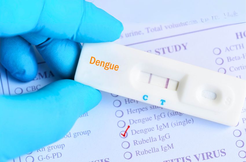 Seguros Unimed enregistre une augmentation de 163% des autorisations liées à la dengue en 2024