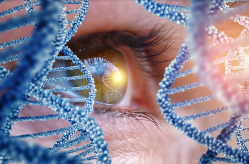 MSD rachète EyeBio, une société de biotechnologie axée sur l'ophtalmologie