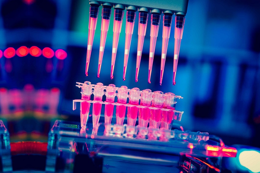 Un nouveau test HPV dans le SUS peut anticiper le diagnostic jusqu