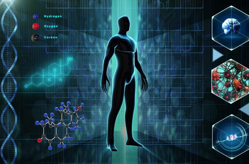 Le scanner 3D de volume corporel utilise l’IA pour prédire le risque de syndrome métabolique