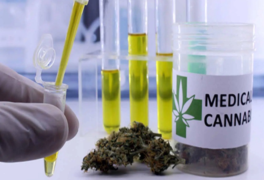 La proposition prévoit le don du cannabis saisi aux laboratoires de recherche