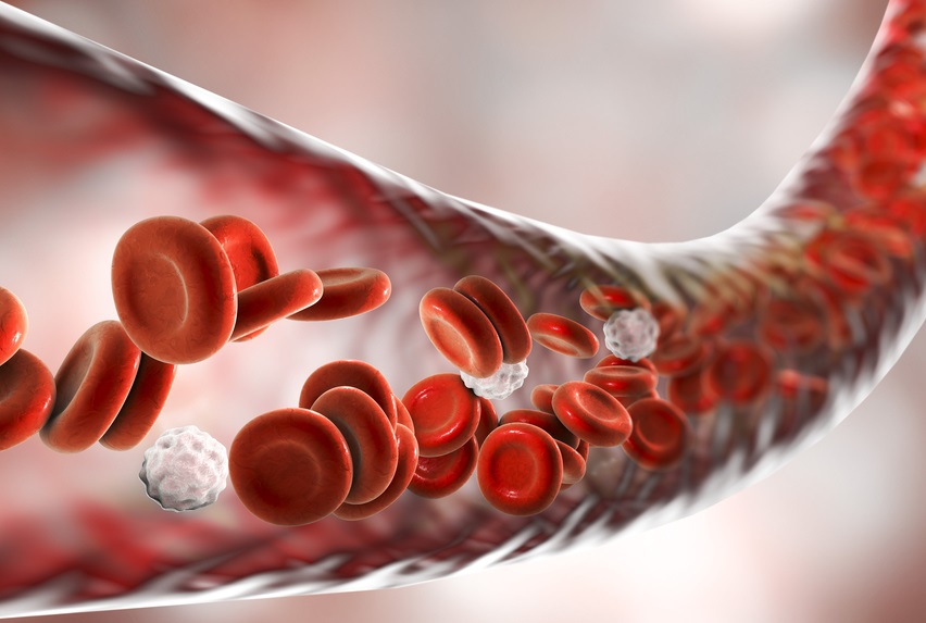 Anvisa approuve un nouveau traitement pour la condition sanguine rare