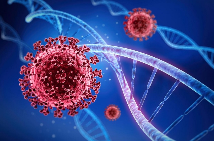 L'analyse génétique des tissus infectés par le SARS-COV-2 peut conduire à des traitements plus efficaces
