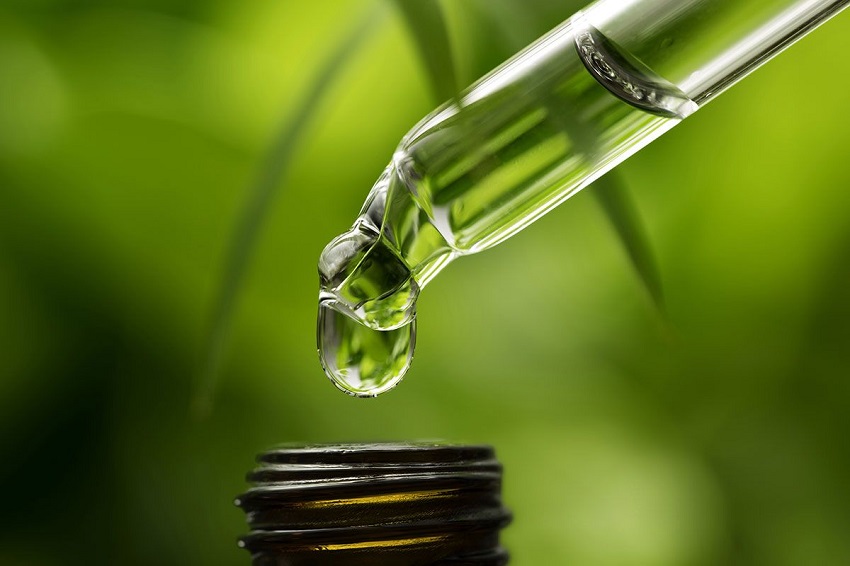 Les parlementaires et le gouvernement articulent le soutien bioéconomique avec les plantes médicinales