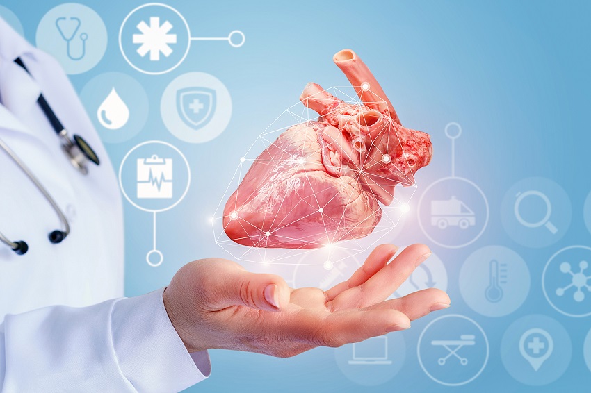 Avec un investissement de 8 millions de R, Circle Health Restructure