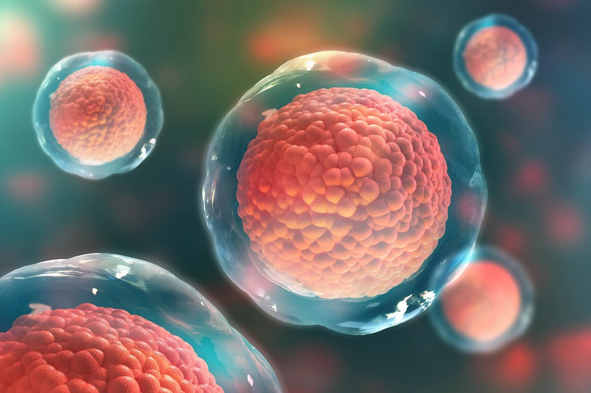 CAR-T: La recherche identifie les cibles pour améliorer l'efficacité de la thérapie