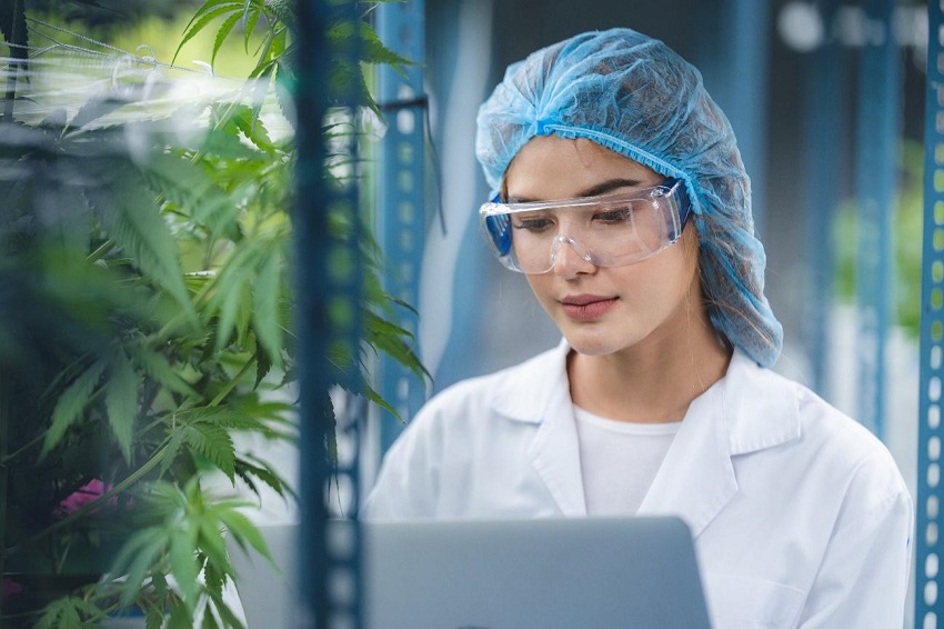La plate-forme offre un cours de mise à jour sur le cannabis médicinal