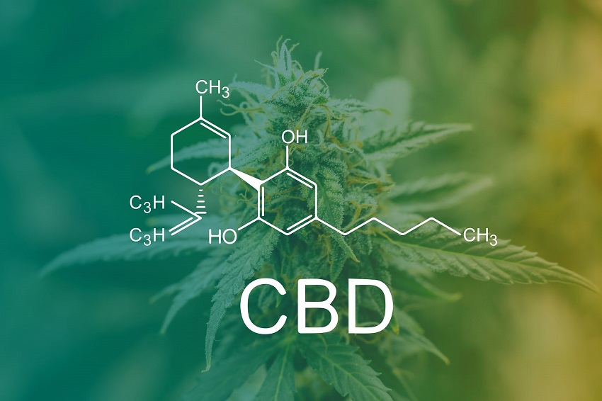 Plan d'action du protocole gouvernemental pour réglementer l'accès aux médicaments dérivés du cannabis