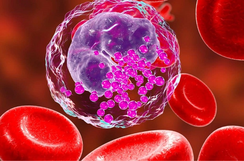 Les cartes de l'étude sont de nouvelles thérapies pour la leucémie lymphocytaire chronique