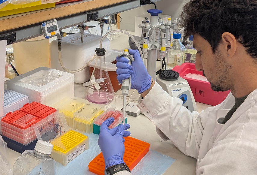 Une recherche sans précédent révèle comment inverser les dommages causés aux neurones de la SLA