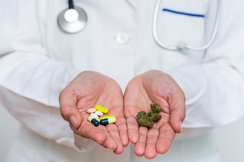 Comprendre pourquoi les produits à base de cannabis ne sont pas interchangeables en pharmacie