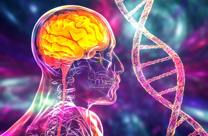 Le Brésil commence une étude pour cartographier la génétique des accidents vasculaires cérébraux et améliorer les soins dans le SUS