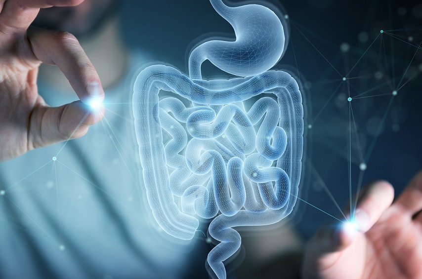 Le projet crée des normes pour le traitement de la maladie de Crohn dans le SUS