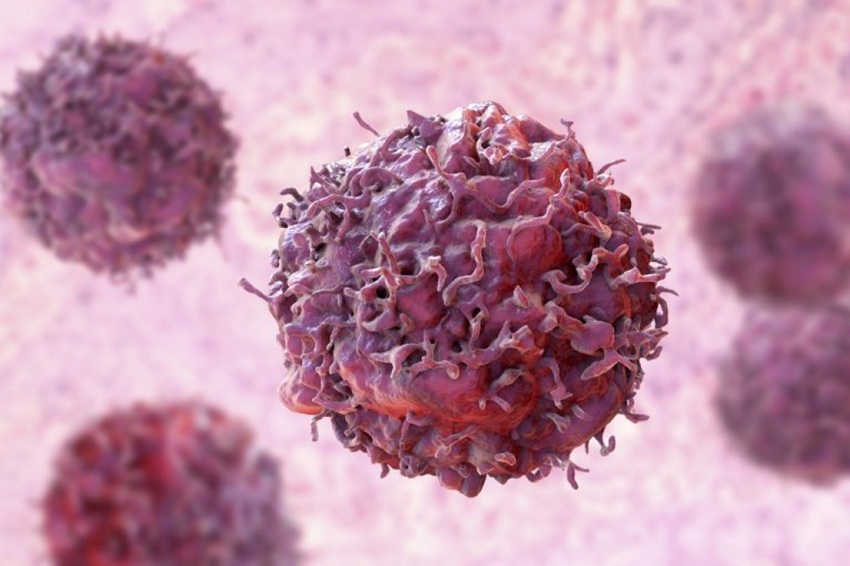 La loi inclut l’immunothérapie dans les protocoles de traitement du cancer