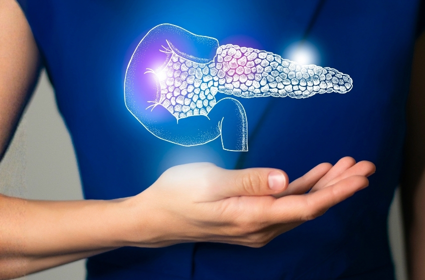 La Mayo Clinic développe un outil d'IA pour aider à détecter le cancer du pancréas jusqu'à 3 ans avant le diagnostic
