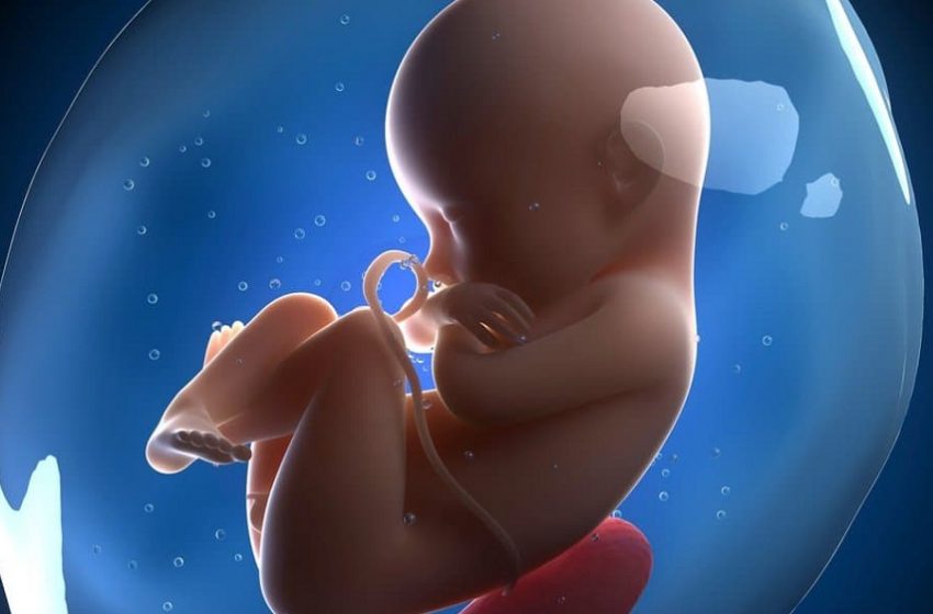 Des chercheurs corrigent les gènes des embryons humains en laboratoire et relancent le débat sur les « bébés modifiés » – Medicina S/A